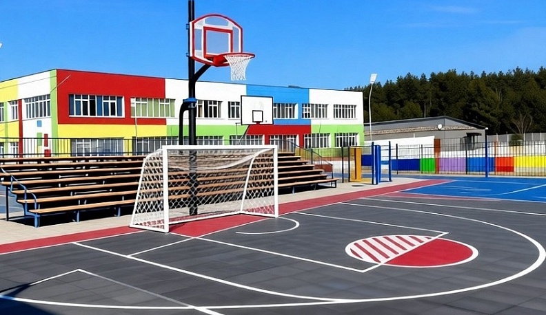 такую спортивную площадку хотят жители Дворцов