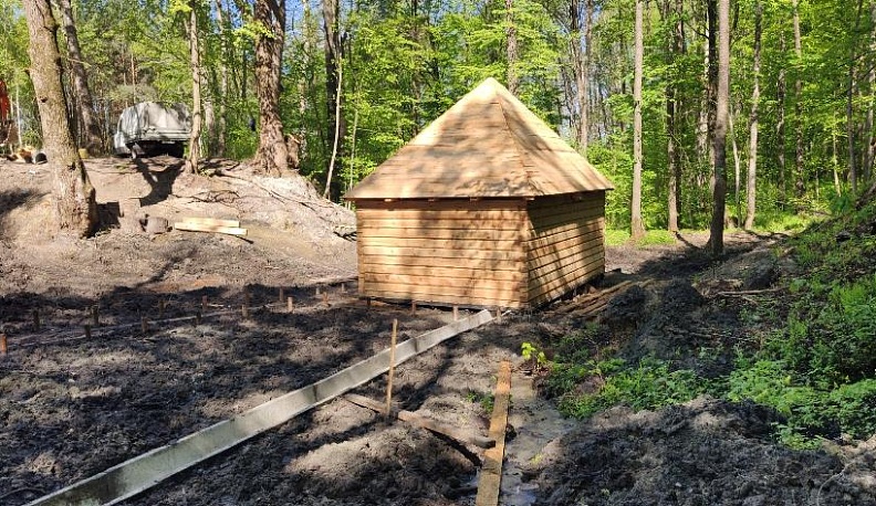 Он излечит и душу, и тело