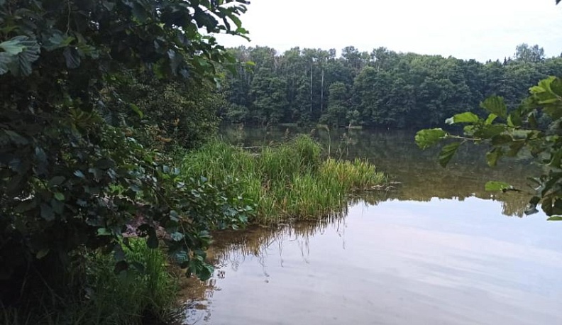 В Калужской области 15 водоемов пригодны для купания