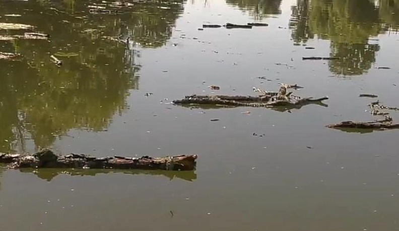 Спасти озеро