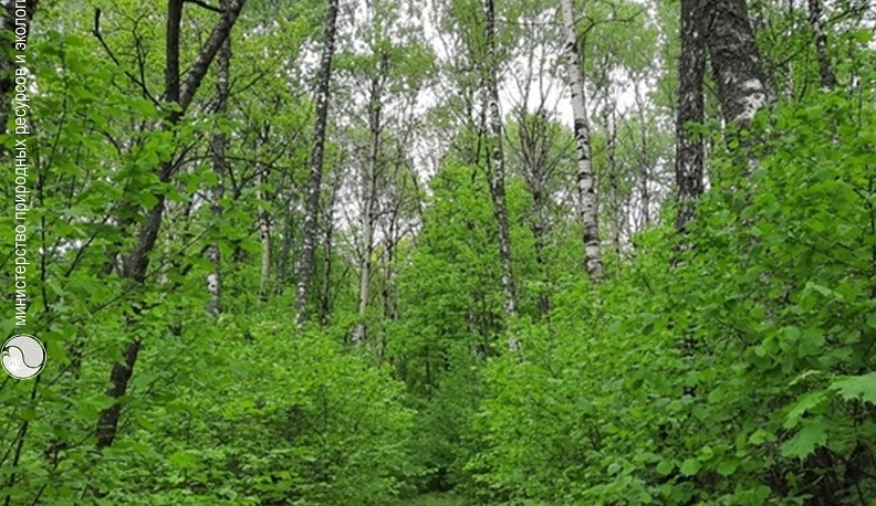 В Износковском районе обследовали четыре памятника природы