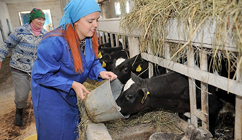 Женщины на селе будут работать меньше