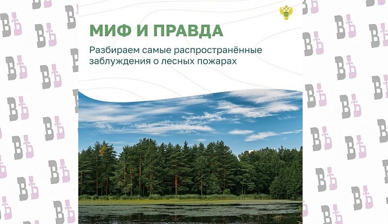 Калужанам рассказали о заблуждениях, связанных с лесными пожарами