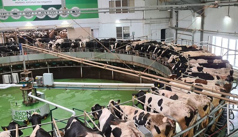 Вектор развития калужского агропрома сохраняется – в 2022 году инвестировано шесть миллиардов рублей