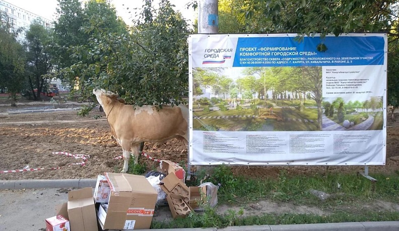 Парнокопытная   вольница