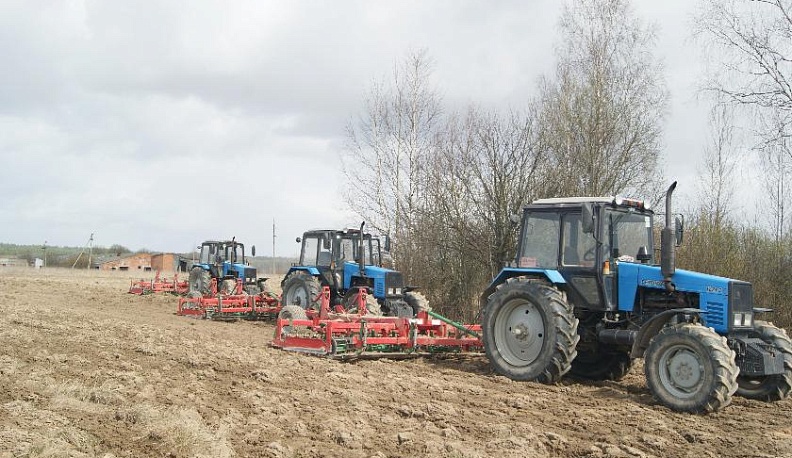 В лучшие агрономические сроки