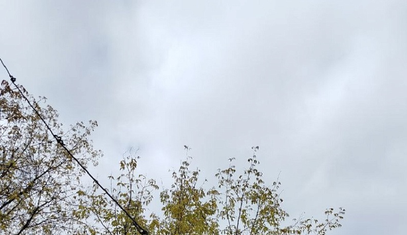 Погода в Калуге обещает быть пасмурной