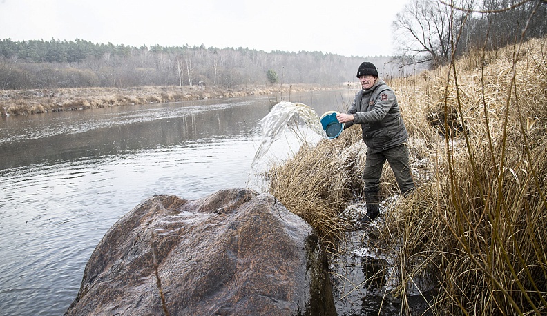 Хождение за синь-камнем