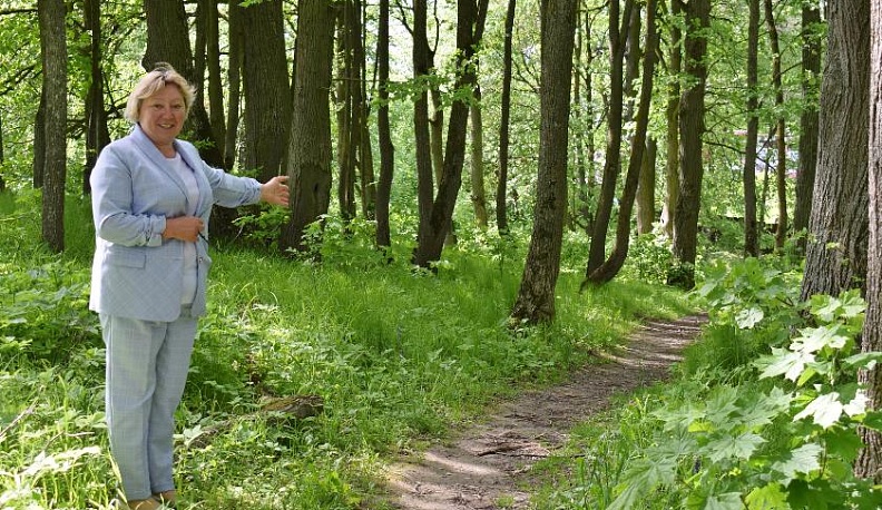 Решили – и сделали