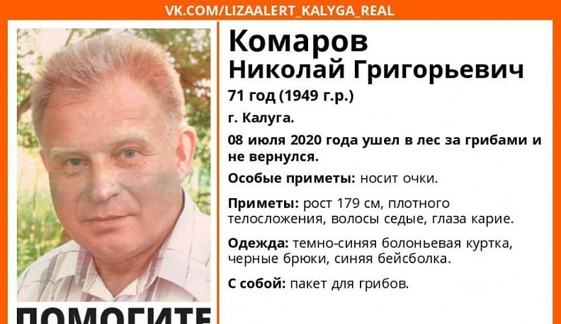 В лесах Калуги разыскивают заблудившегося грибника