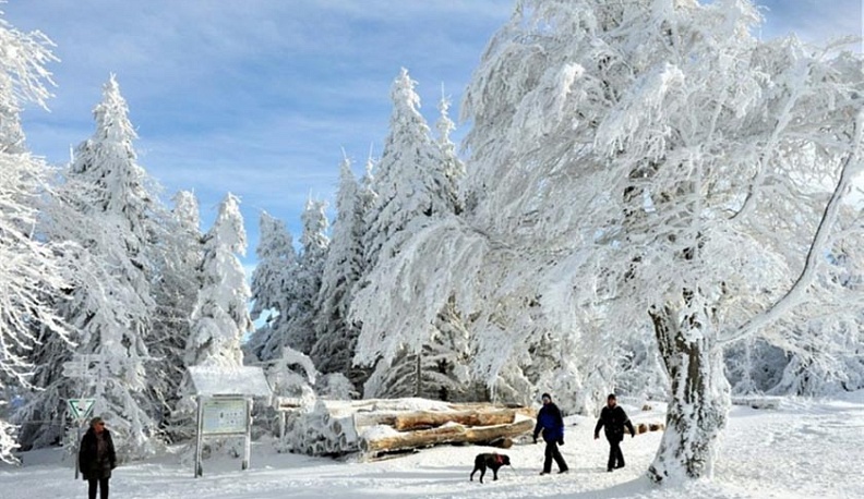 Синоптики пообещали к Крещению небольшое похолодание