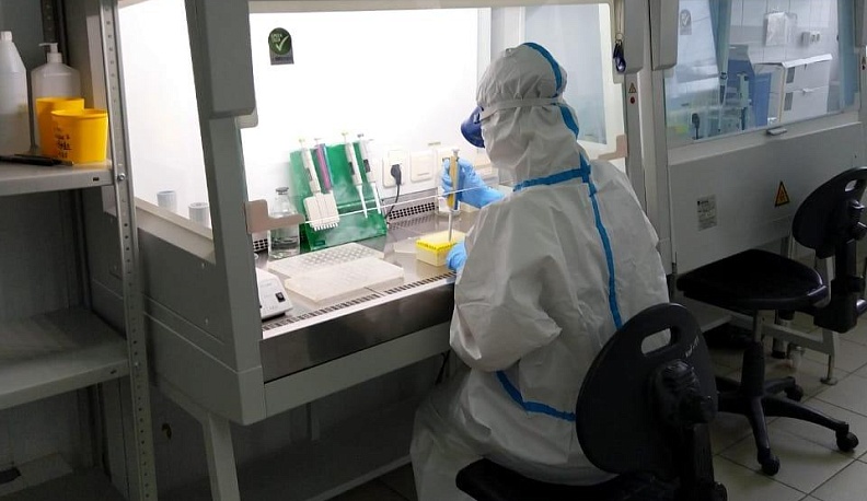 Знают вирус «в лицо»