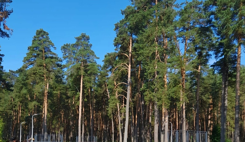 В Юхнове появится первая в скейт-площадка