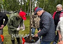 Анатолий Артамонов посадил деревья в Хвастовичском округе в селе Красное