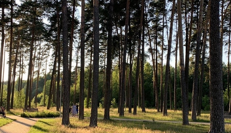 Калужское минприроды подготовило доклад об охране окружающей среды