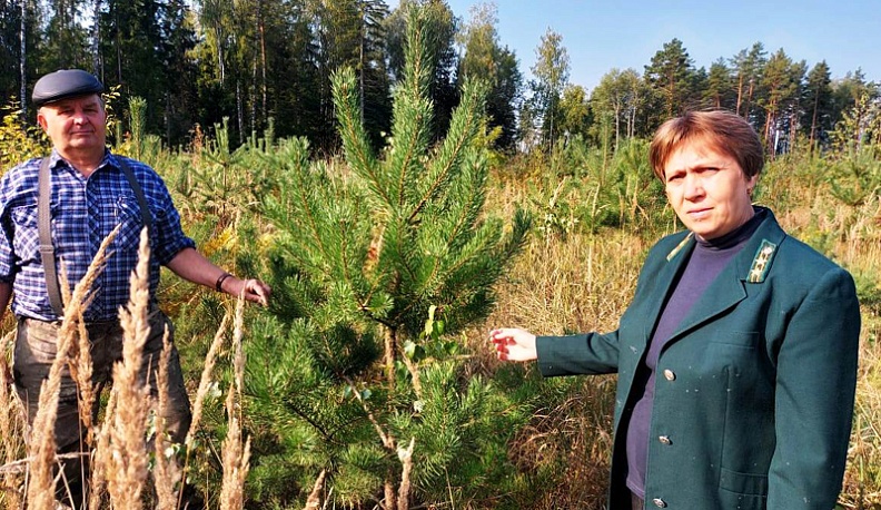 Накануне профессионального праздника людиновские лесники подвели итоги