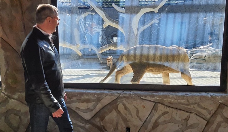 В Калуге у экопарка «Биосфера» появится парковка