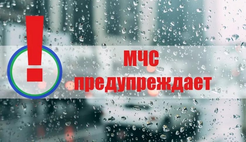 МЧС предупреждает о грозе и ветре