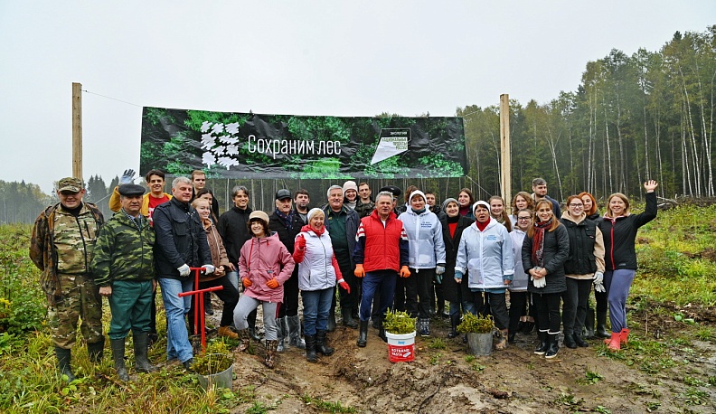 В Калужской области в Малоярославецком лесничестве прошла масштабная посадка леса