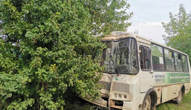 Под Калугой в ДТП с рейсовым автобусом пострадали три человека