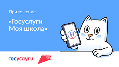 Калужские родители могут следить за успеваемостью детей через приложение «Госуслуги. Моя школа»