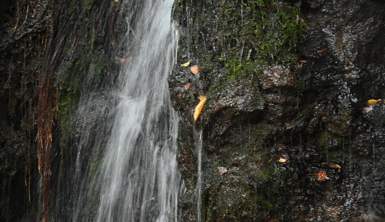Песни падающей воды