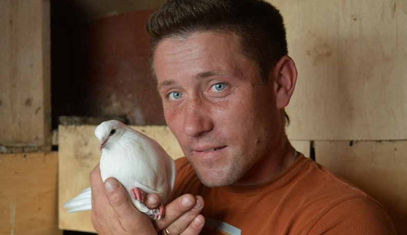 Любовь и голуби