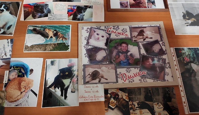 В Людинове стартовал необычный фотоконкурс