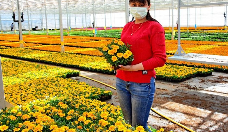 Красота требует… контроля!