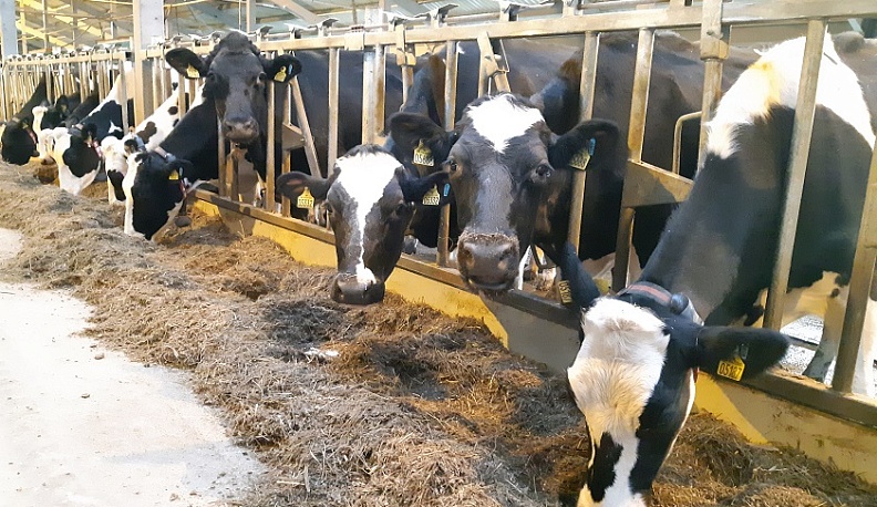 Калужский губернатор отметил перспективность роботизированных ферм