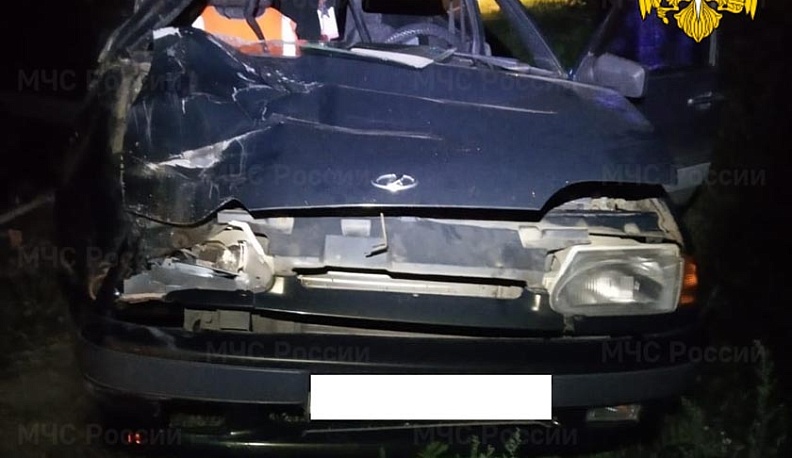 Под Калугой корова разбила машину