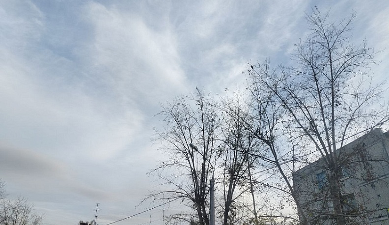 Погода в Калуге остаётся солнечной