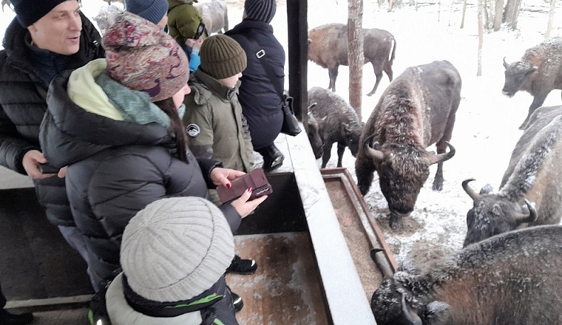 С начала года в заповеднике «Калужские засеки» побывало более 500 посетителей