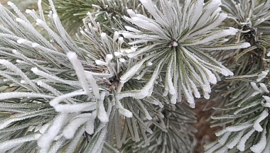 В Калуге 17 января ожидается сильный мороз и гололедица