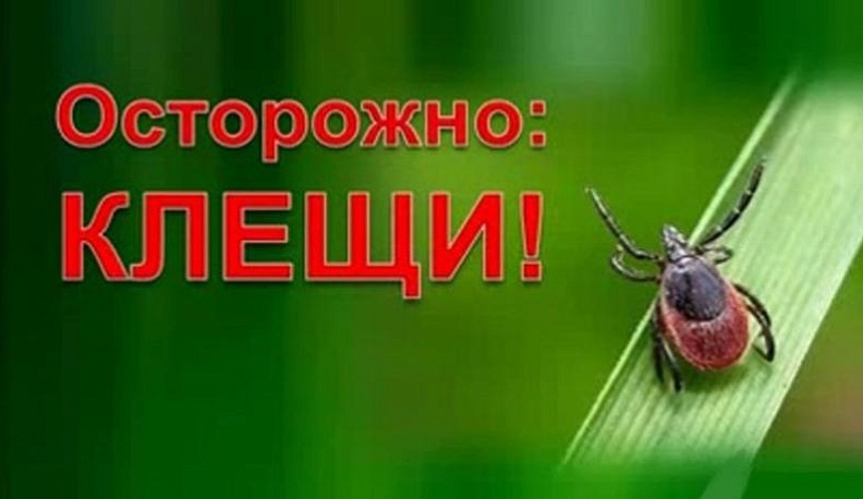 Клещи не успокаиваются