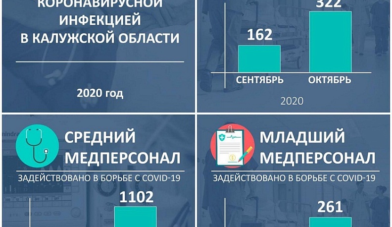 Владислав Шапша назвал точное количество медиков, помогающих в борьбе с ковидом