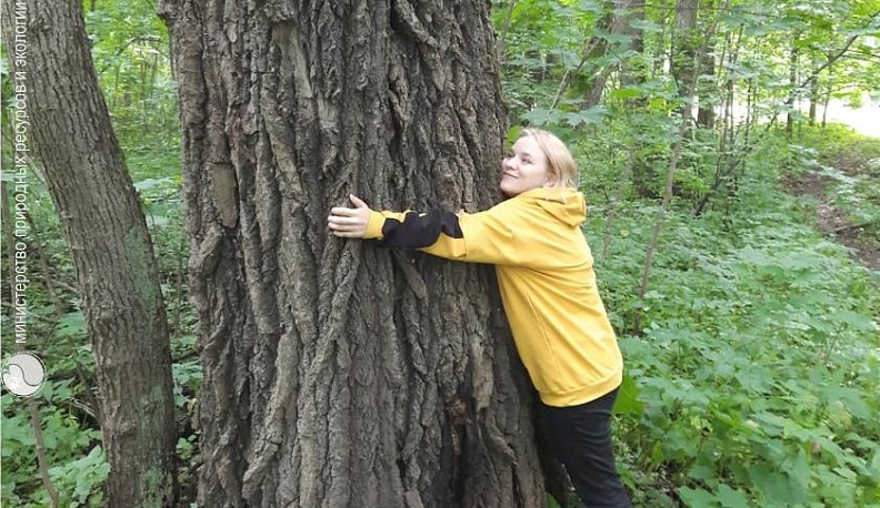 В Калужской области обследовали еще шесть природных памятников