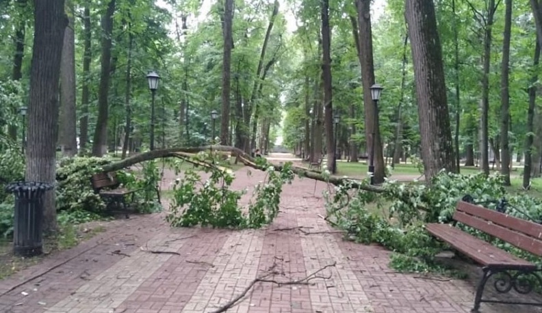 В Калуге ураганом ломало деревья и заборы
