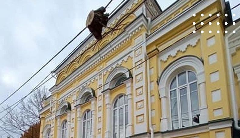 В Калуге убрали пень с линии электропередачи