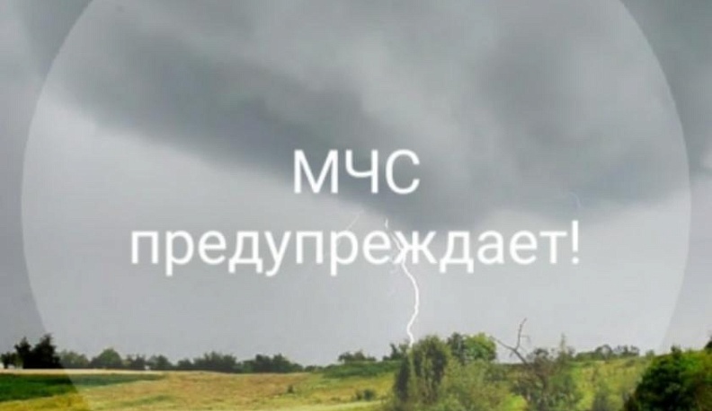 В Калужской области сохраняется вероятность сильного ветра