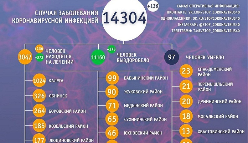 В Калужской области за сутки от коронавируса выздоровело 373 человека