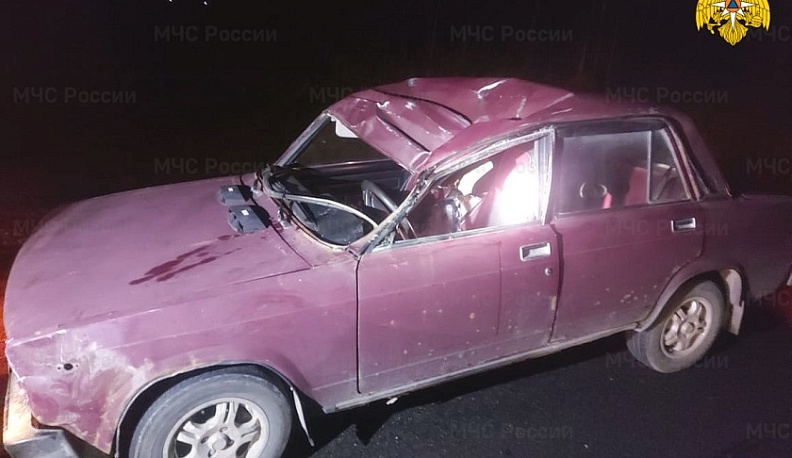 В Калужской области автомобиль «Жигули» сбил оленя