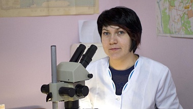 У клещей в клещах