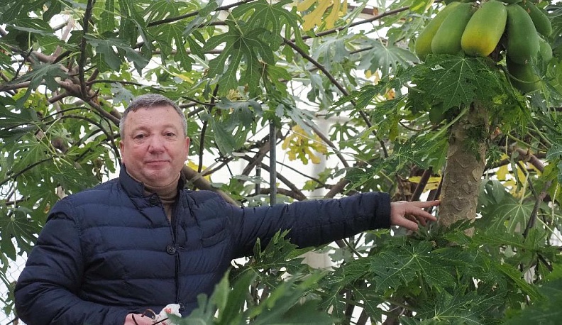 Цветы, молоко и не только