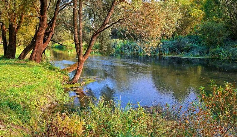 В Калужской области состоится флешмоб #чистаяПротва