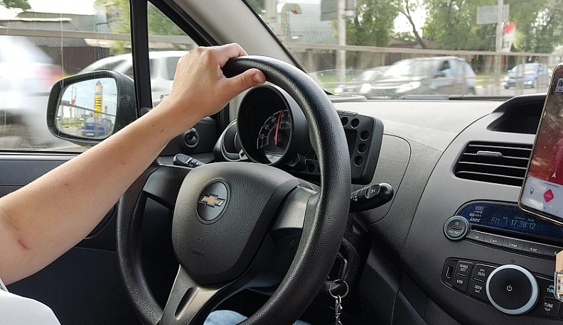 С начала года водители Калужской области сбили более 100 диких животных