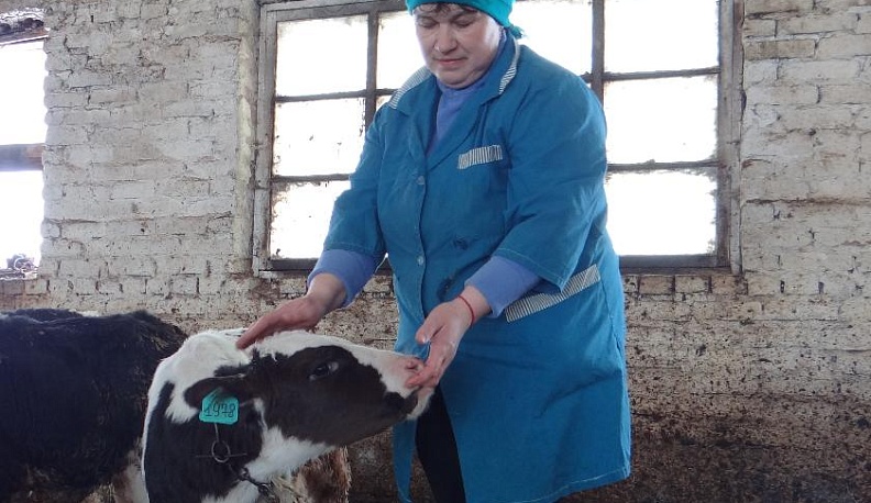 К животным – только с лаской