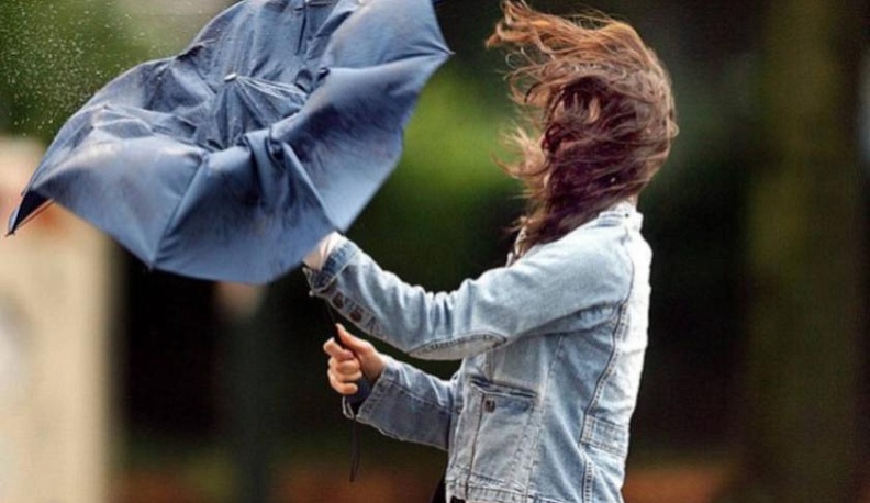 В городе увеличат количество аварийных бригад из-за сильного ветра