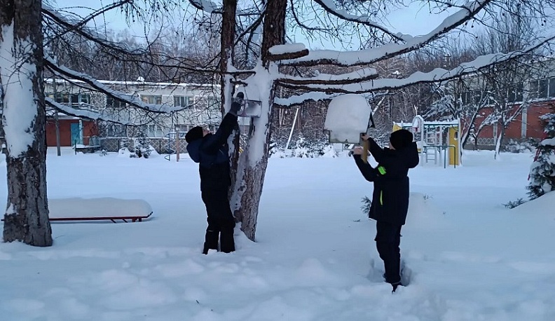 В сельской школе  Малоярославецкого округа прошла акция «Покорми птичек»