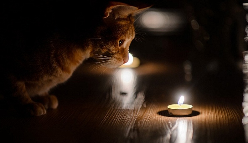 Завтра одна из улиц Калуги останется без света